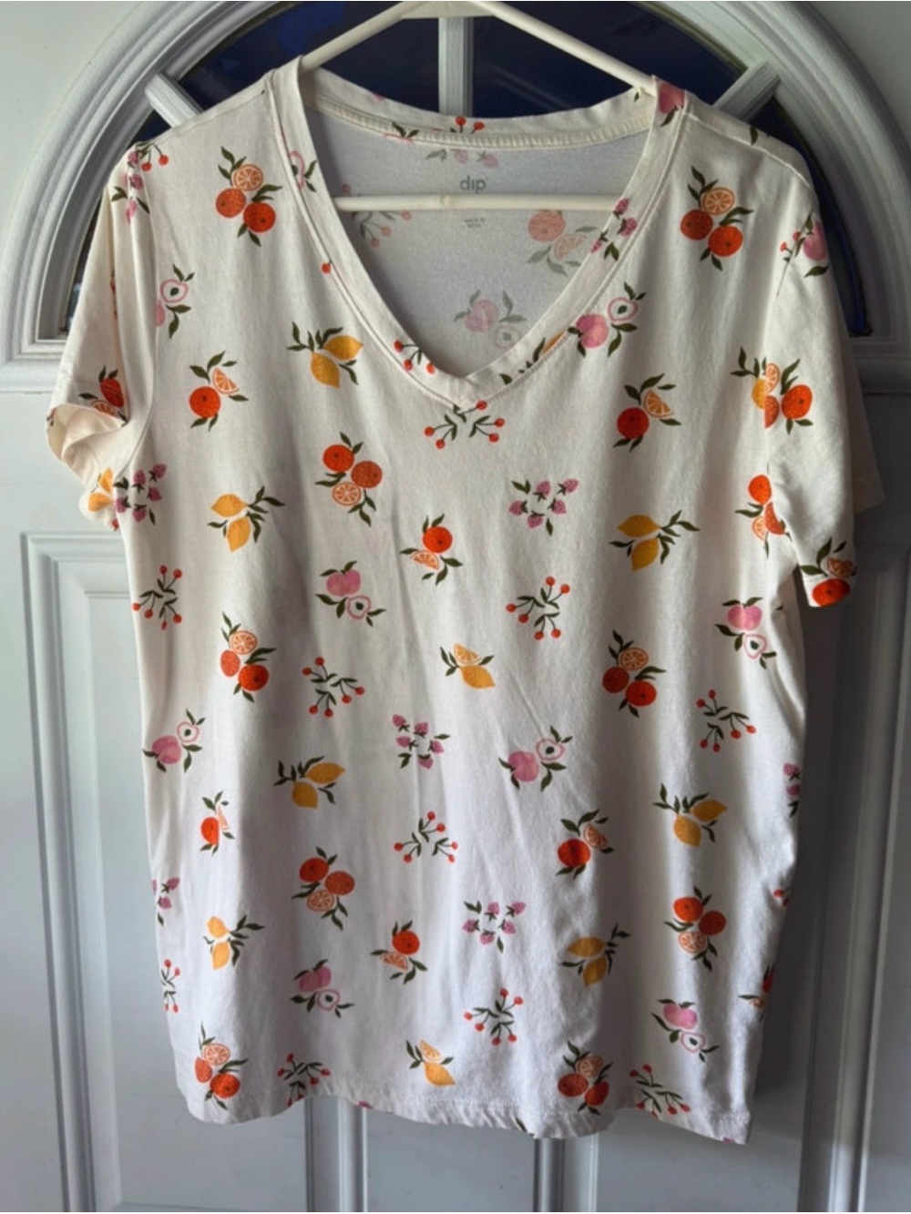 Dip V-Neck Cream Floral Fruit Print Women's Tee
